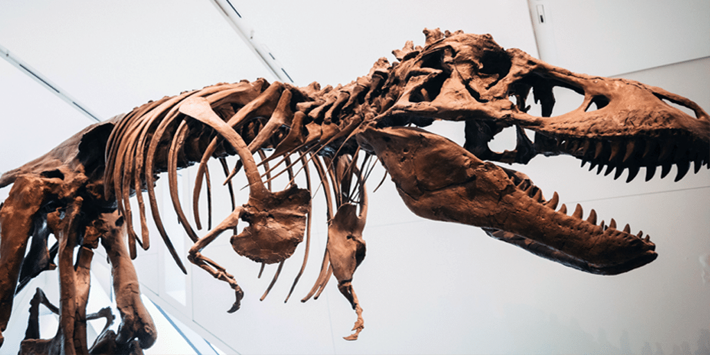 What Does the Bible Say about Dinosaurs? Dinosaur- 865