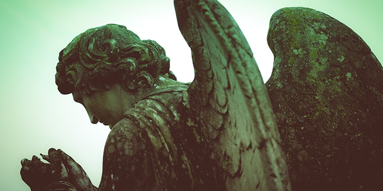 angel-craze-large-1