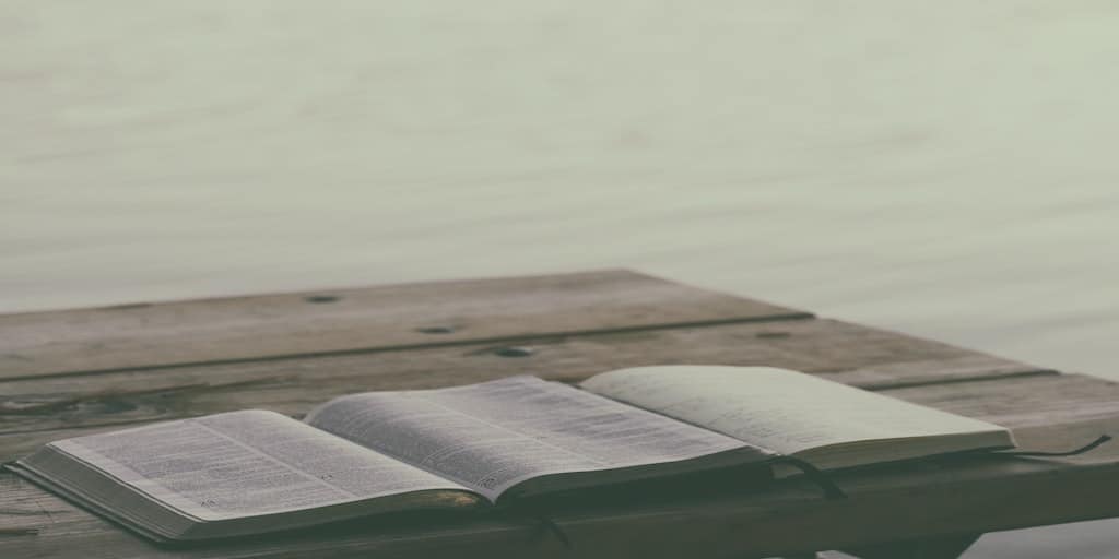 aaron-burden-gfGM2Hcq92s-unsplash (1)