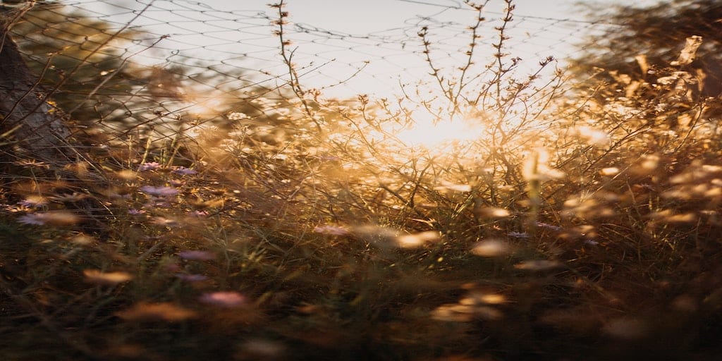 anton-darius-LyC53UyAYVM-unsplash (1)