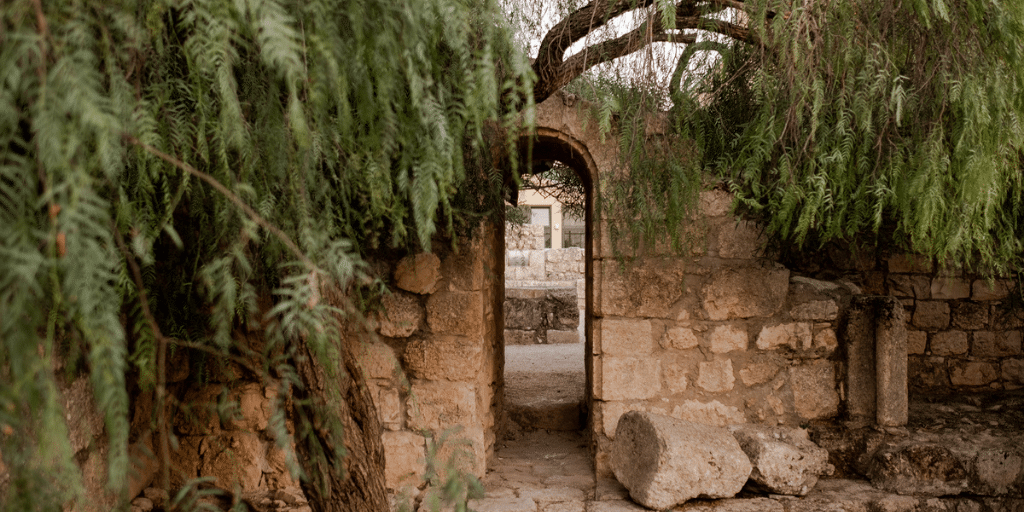 Bathsheba | Women in Jesus’ Genealogy Bathsheba