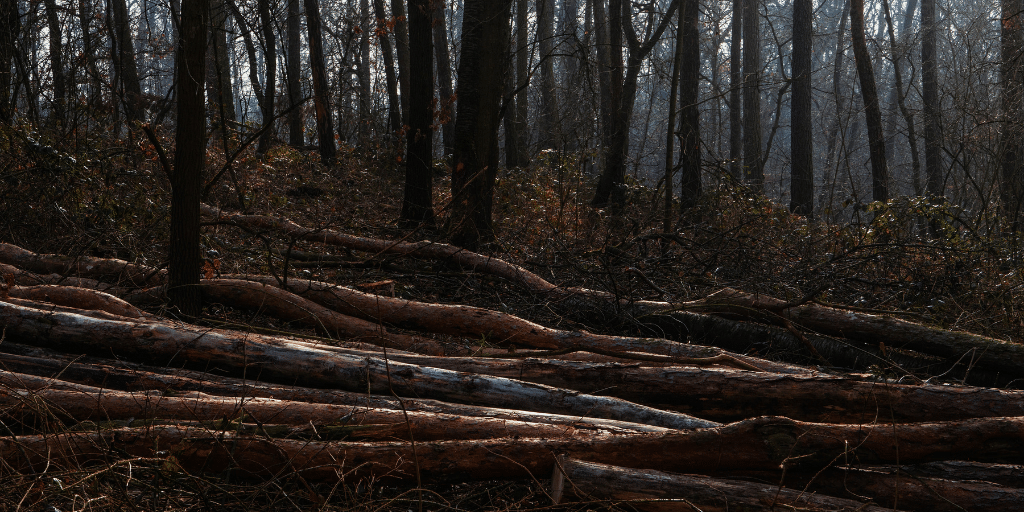 Felled or Fallen