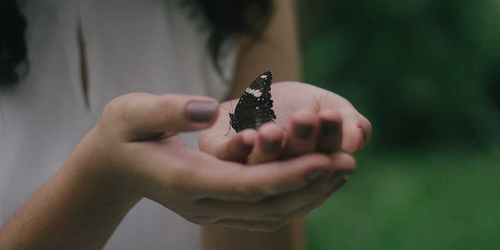 gentleness (1)