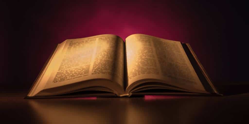did-paul (1)