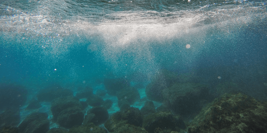The Cambrian Explosion and Intelligent Design – Part 3 cambrianpart3
