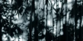 Christian-Assessment